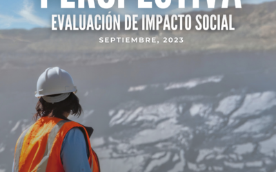 Reporte Perspectiva GEM – Evaluación de Impacto Social