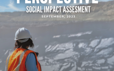 Perspective Report – Social Impact Assesment